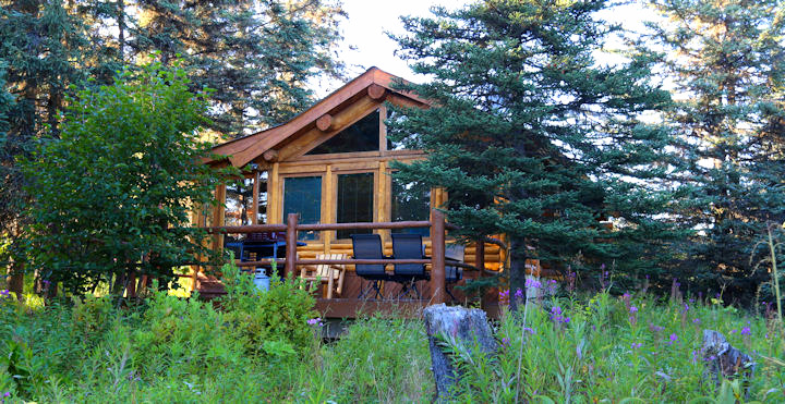 The cozy log Moose Cabin nestled amongst tall evergreen trees under a bright sky.
