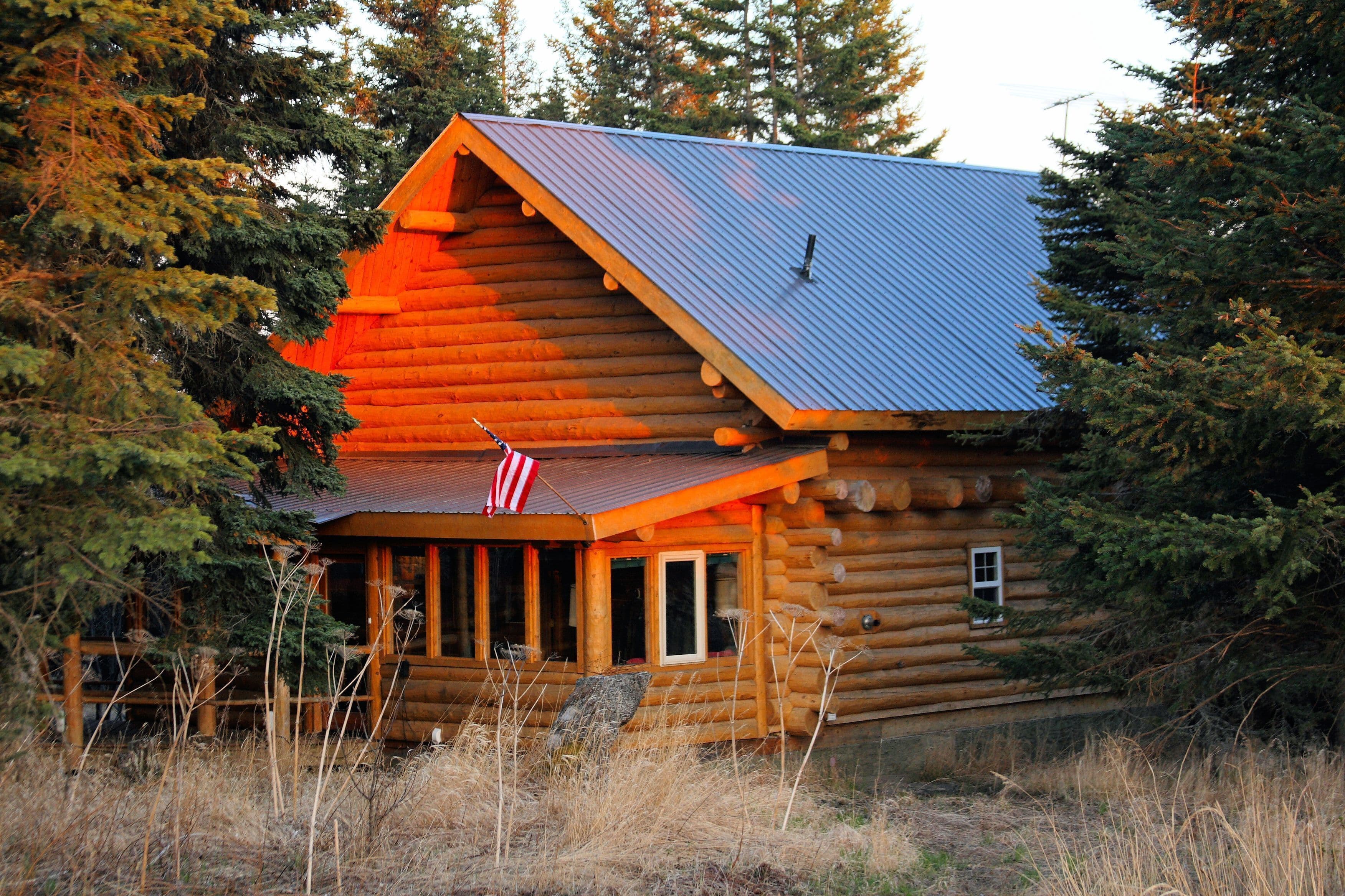 Wise Old Hunter Lodge a charming, two-story log cabin nestled amongst tall evergreen trees, likely pine or spruce.