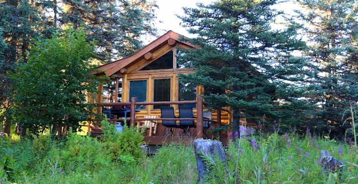The cozy log Moose Cabin nestled amongst tall evergreen trees under a bright sky.