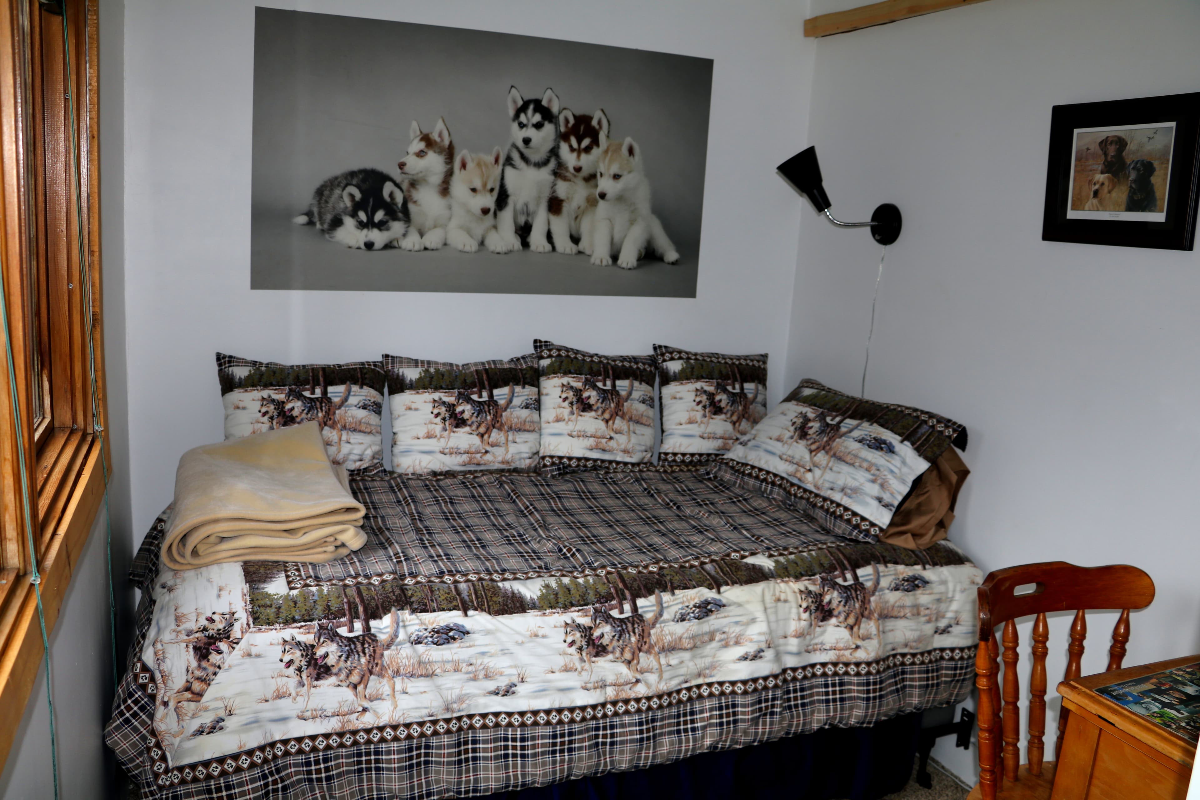 Twin bed in cozy dog-themed bedroom.