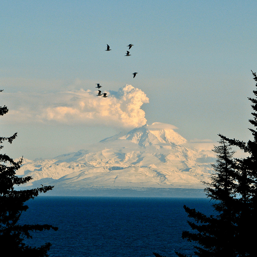 A snow-capped volcano emits a plume of smoke above a tranquil sea, with birds flying overhead.