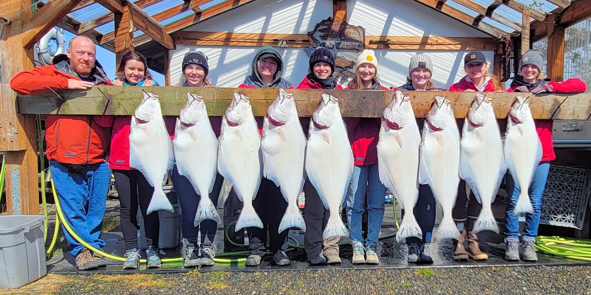 A group of eight people proudly displaying their catch of large halibut on a wooden rack.