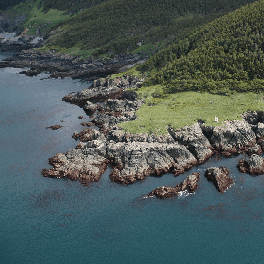 Aerial view of rocky coastal cliffs surrounded by calm blue waters and lush greenery.