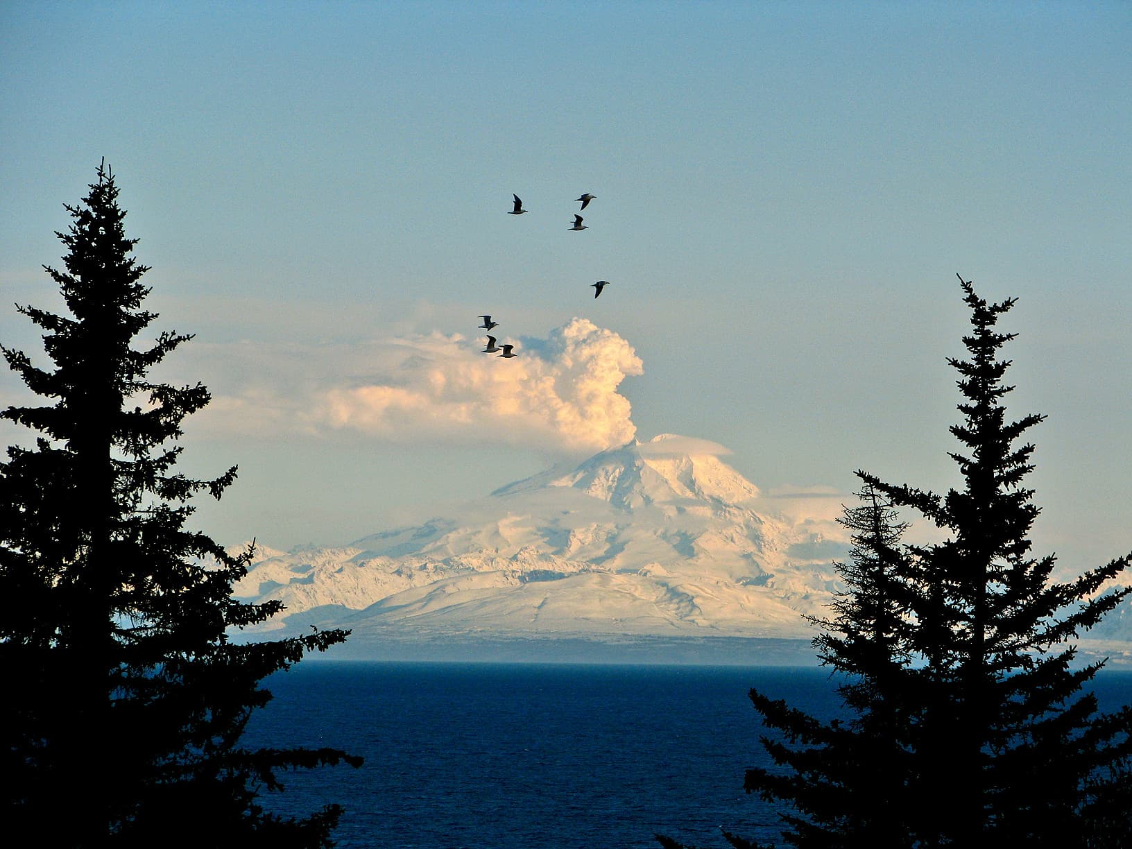 Snow-covered volcano under a cloudy sky with birds flying in the foreground.