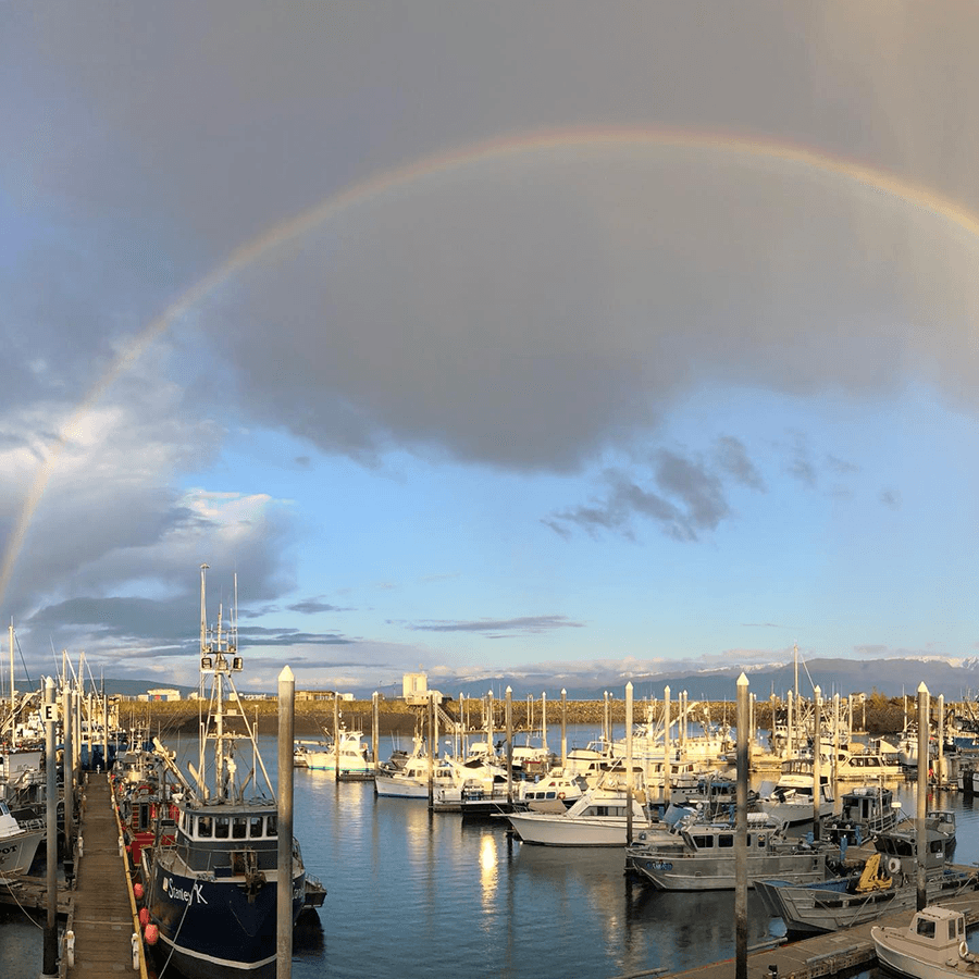 A marina filled with boats under a vibrant rainbow.