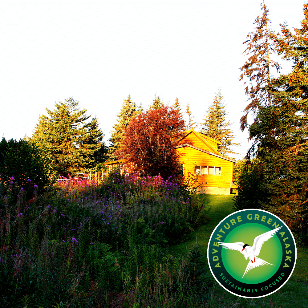 A wooden cabin surrounded by trees and wildflowers in sunlight; Adventure Green Alaska badge appears in the lower right corner.