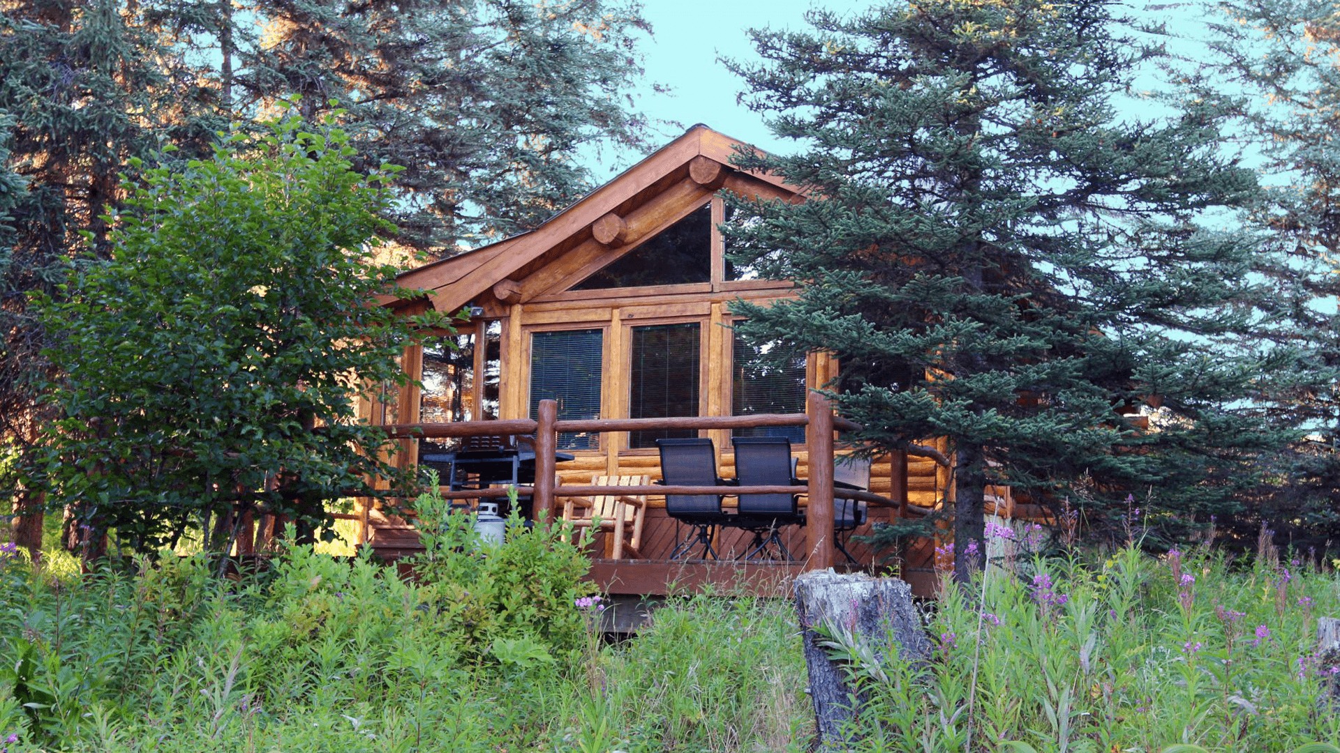 A cozy wooden cabin surrounded by tall trees and lush greenery.