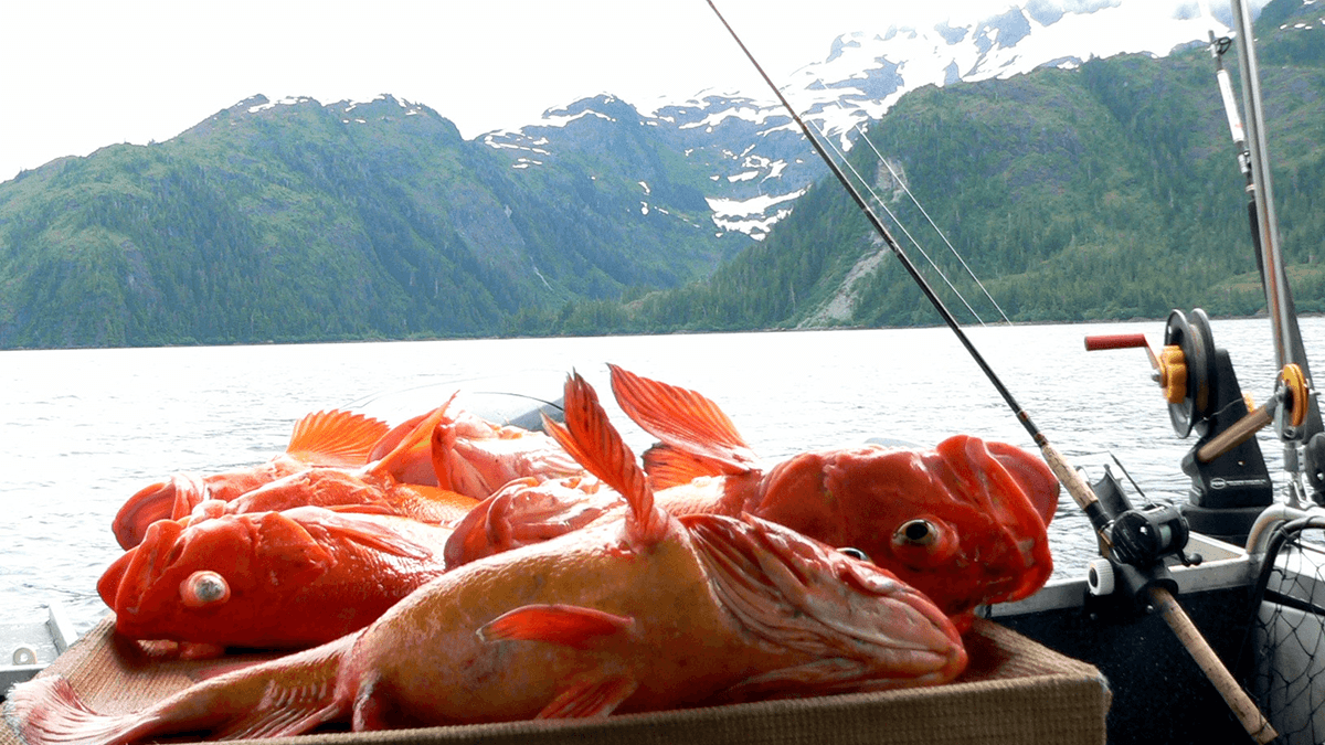 A basket of bright orange fish resting in a boat with lush mountains and a lake in the background.
