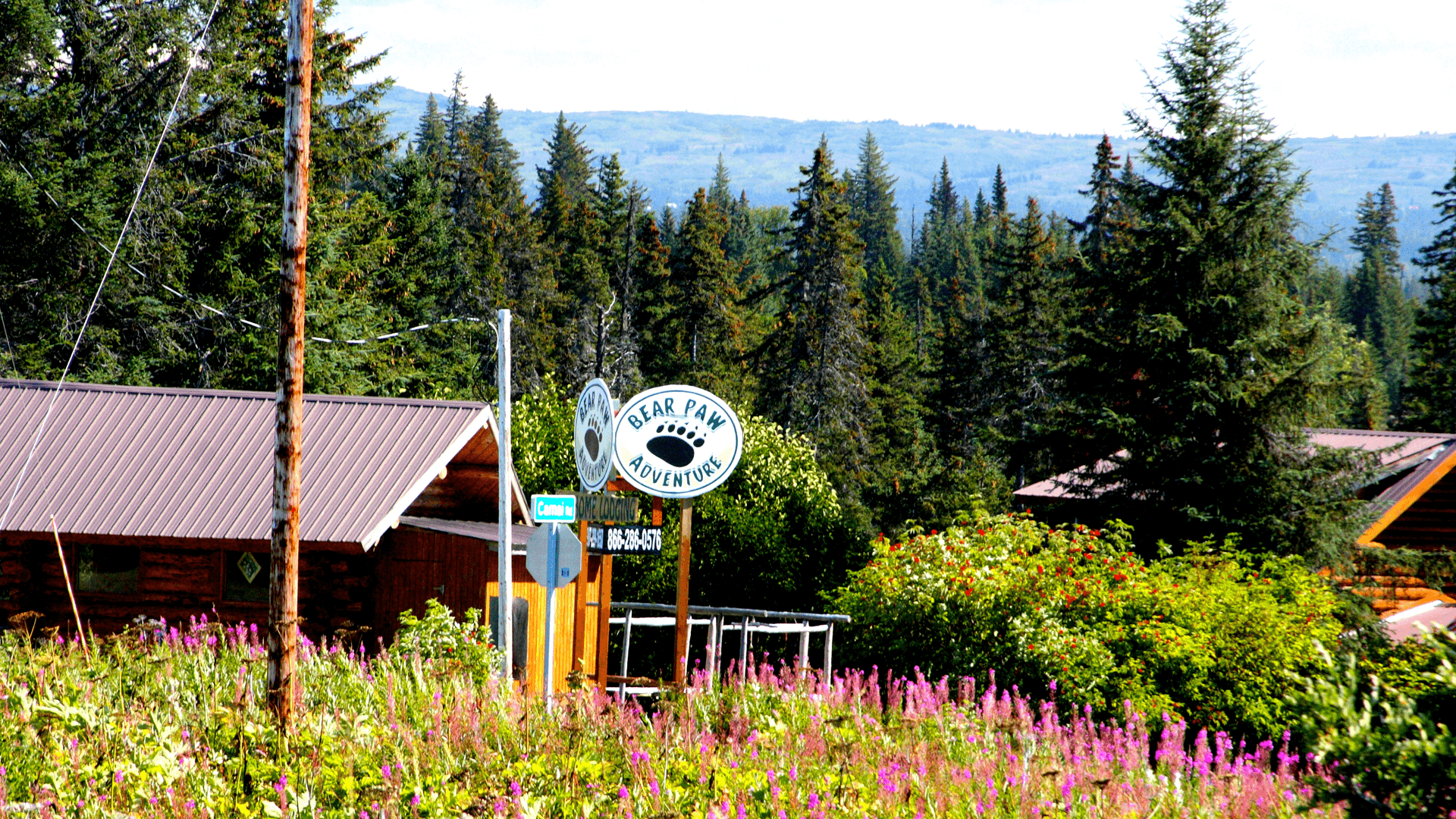 A log cabin and a "Bear Paw Adventure" sign are surrounded by wildflowers and tall evergreen trees, with hills visible in the background.