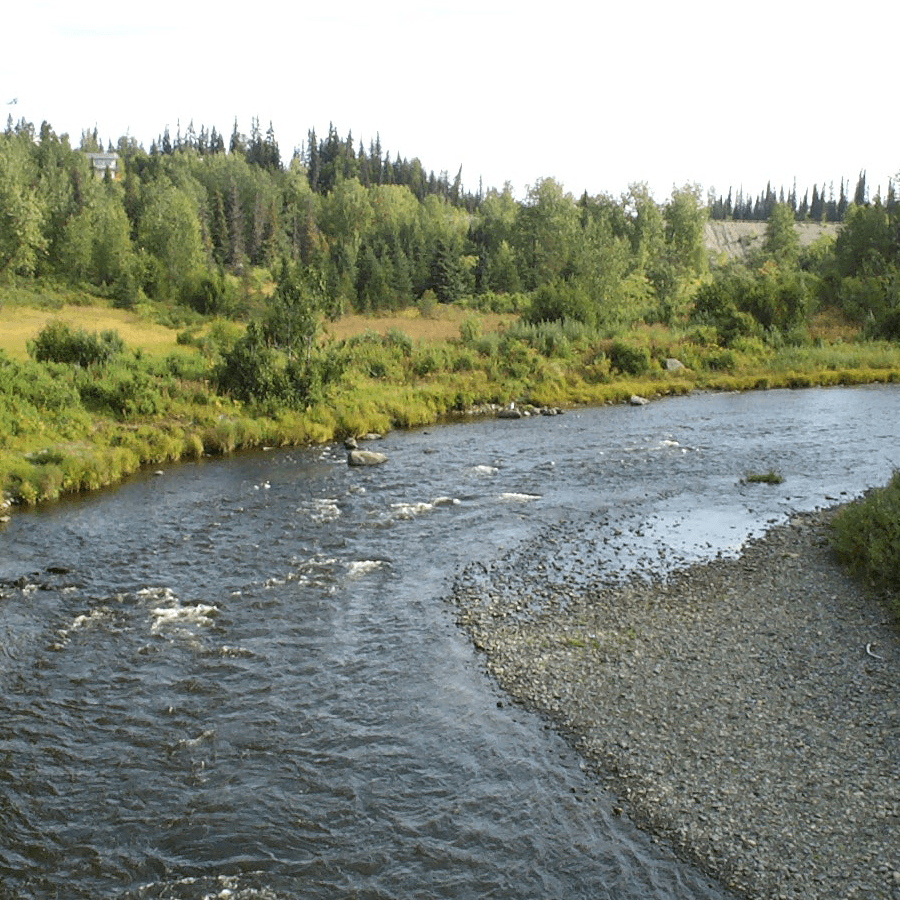 A winding river flows through lush greenery under a clear sky.