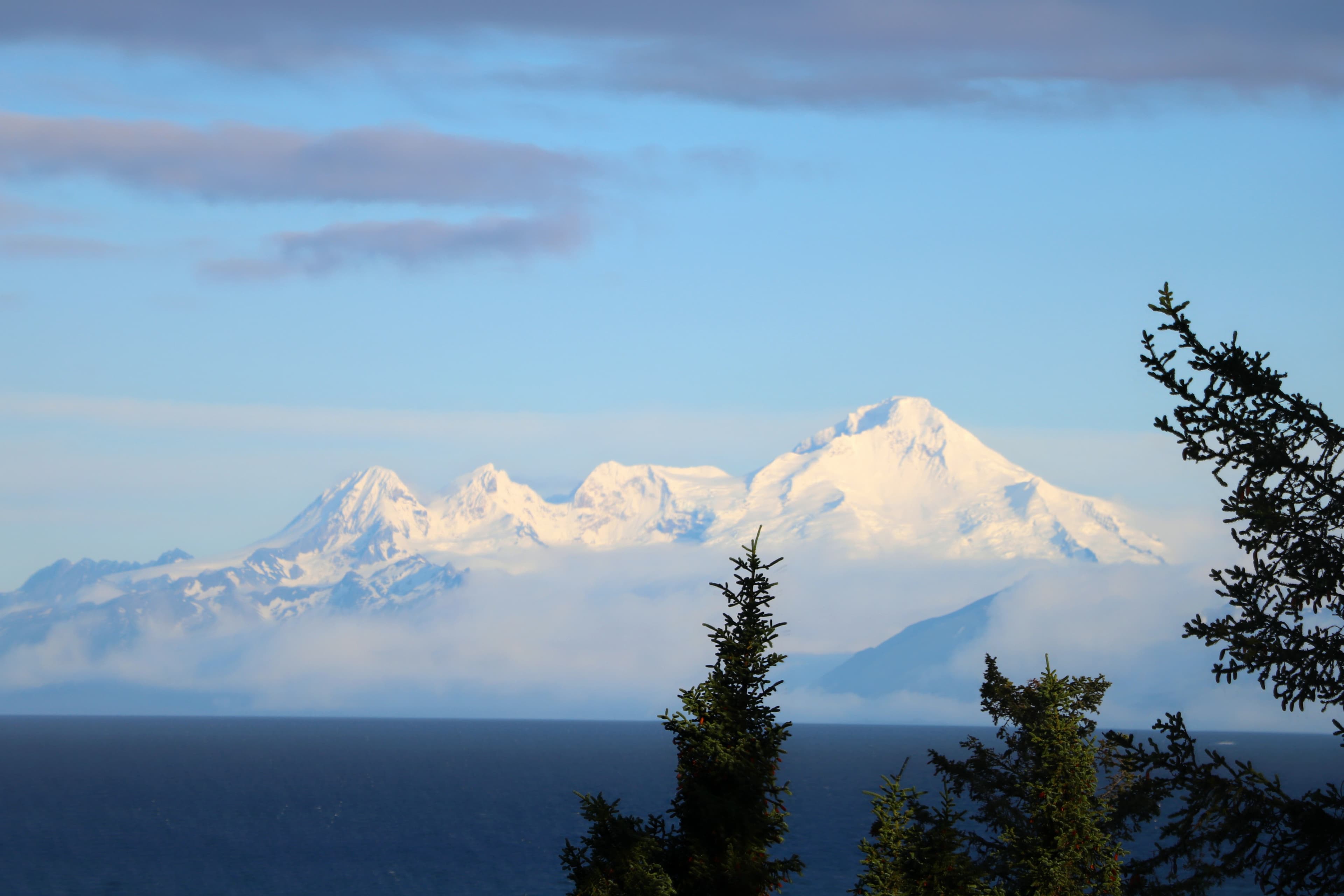 Snow-capped mountains rise above a tranquil sea, framed by evergreen trees.